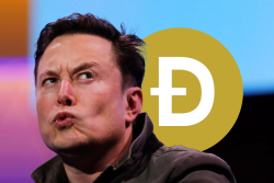 Elon Musk's Love Story with Dogecoin (DOGE) Explained by Anthony Pompliano