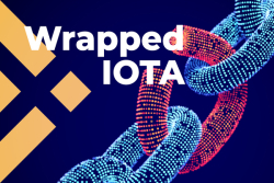 Wrapped IOTA Has Launched on Binance Smart Chain