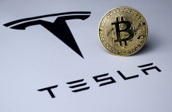 Former Goldman CIO Urges Tesla to Get Out of Bitcoin as Stock Plunges 30 Percent 