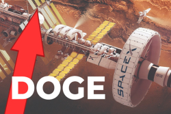 DOGE Pumps 10% As Elon Musk Promises to Deliver It to The Moon via SpaceX