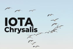 IOTA to Start Migration to Chrysalis on April 21. Here's What You Should Know