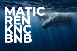 MATIC, REN, KNC, BNB Whales Definitely Bought Latest Dip, Here's Why