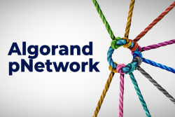 Algorand (ALGO) Inks Partnership with pNetwork (PNT), Teases Top Assets Onboarding