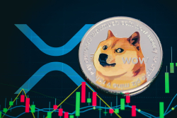 Dogecoin Tops XRP as Its Market Cap Swells to $72 Billion