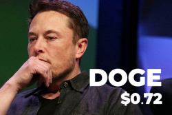 Elon Musk Hosting SNL Pushes DOGE to $0.72 ATH, Dave Portnoy Says, Owing Zero Dogecoins