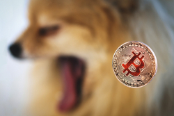 DOGE Washout and Bitcoin Strengthening Expected by Ark Financial's Crypto Analyst