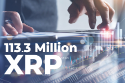 113.3 Million XRP Moved from Ripple ODL Corridors to BitGo and Binance