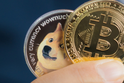Dogecoin May Indicate Too Much Market Froth Throughout 2021: Bloomberg's Mike McGlone