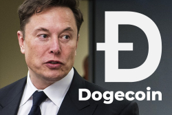 Elon Musk Asks Followers to Submit Dogecoin Development Ideas