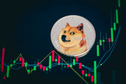 Elon Musk-Touted Dogecoin Becomes Available on Blockchain.com