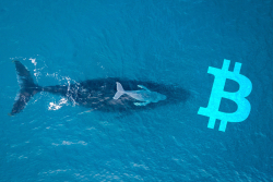 Whales Grabbing More Bitcoin, Holding Their ETH Tight: Santiment Data