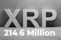 Jed McCaleb Sells 214.6 Million In Last Three Weeks: Report by XRPScan