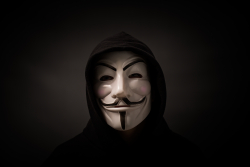 Is Anonymous Actually Targeting Elon Musk for "Destroying Lives" with Crypto Tweets?