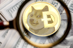 Dogecoin Just Had Its Second-Worst Day in 2021. Did Elon Musk Forget to Feed It?