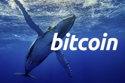 Whales Grabbing Bitcoin as 1k – 10k Wallet Supply Sees Sharp Rise: Glassnode