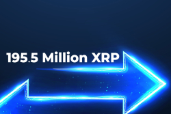195.5 Million XRP Transferred by Three Major Exchanges, While XRP Keeps Trading at $0.6