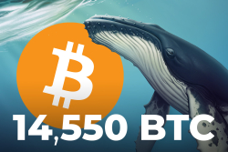  Whales Move 14,550 BTC to Binance, Bitcoin Selling Pressure Is High: CryptoQuant CEO