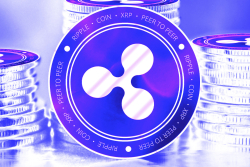 "Ripple Brings Clarity": David Gokhshtein Posted a Tweet About the Crypto Industry