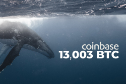 Coinbase Receives 13,003 BTC from Anonymous Whale Over Past 3 Hours