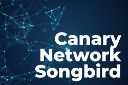 Flare (FLR) Introduces Canary Network Songbird for Pre-Mainnet Stress Tests