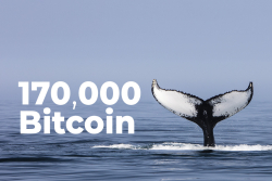 Whales Acquire 170,000 Bitcoin in Past 6 Weeks: Santiment Data
