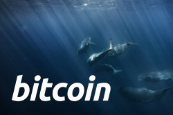 Number of Large Daily Bitcoin Transfers Soars as Whales Keep Buying the Dip