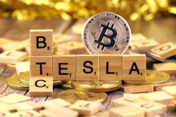 Elon Musk Comments on Tesla's Bitcoin Holdings