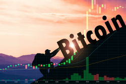 Institutional Investors and Whales Are the Ones Pushing Bitcoin Price Up: PwC Service Network