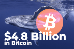 Crypto Whales Shift $4.8 Billion in Bitcoin as BTC Hits $43,357