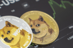 66% of Dogecoin Addresses in Profit as DOGE Rallies 19% Over Weekend