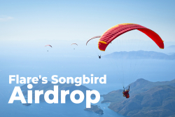 Flare's Songbird Airdrop Support Considered by Major Platforms: Binance, Who Else?