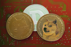 DOGE Daily Circulation and Volatility Plunges After Reaching $0.29
