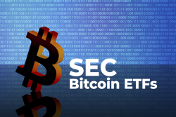 SEC Likely to Approve Bitcoin ETFs by November: Bloomberg ETF Experts