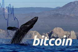 Over 1.3 Million Bitcoins Transferred by Anonymous Whales in Large Lumps