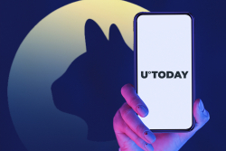 You Can Now Follow Stories by U.Today on Cryptocurrency Cat App