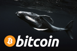 Here Is the First Sign of Whales Selling Their Bitcoin Holdings