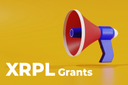 RippleX Announces First XRPL Grants