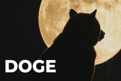 Dogecoin Co-Founder Names Two Things He Believes Will Help DOGE