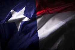 37 Percent of Texans Want to Make Bitcoin Official Currency: Poll 