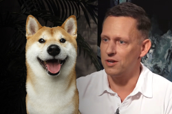 Dogecoin Rival Shiba Inu Starts Trading on Peter Thiel-Backed Cryptocurrency Exchange