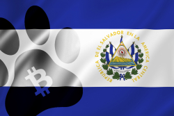 Bitcoin to Fund Construction of Vet Hospital in El Salvador
