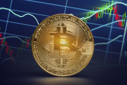 Bitcoin Rising, Altcoins Falling; Analyst Vijay Boyapati Explains What This Means