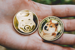 SHIB Becomes Top 11 Coin, Sitting Right Behind DOGE on CoinGecko