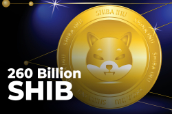 260 Billion SHIB Moved by Anon Whales, While Coin Is Trying to Recover