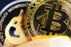 DOGE Has Allowed Lots of People to Get into Bitcoin: David Gokhshtein