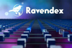 Cardano-based DEX RavenDex Unveils Frontend Demo Version