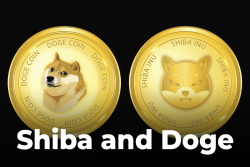 Shiba and Doge Became Two Most Popular Topics in Community, That's Why Volatility Might Hit Market