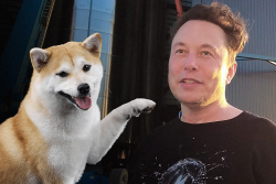 Elon Musk's Shiba Inu Floki Picture Attracts Over 90,000 Tweets