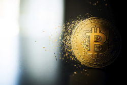 Economist Steve Hanke Names Reasons Why Bitcoin Likely to Crash After Major Price Peak