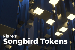 Flare's Songbird Tokens Now Integrated by Institution-Grade Custody